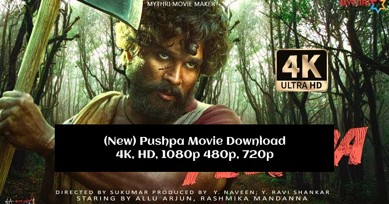 🏆 Pushpa Movie Download - 4K, HD, 1080p 480p, 720p.. is illegal to  download from piracy websites - Wiki In Hindi